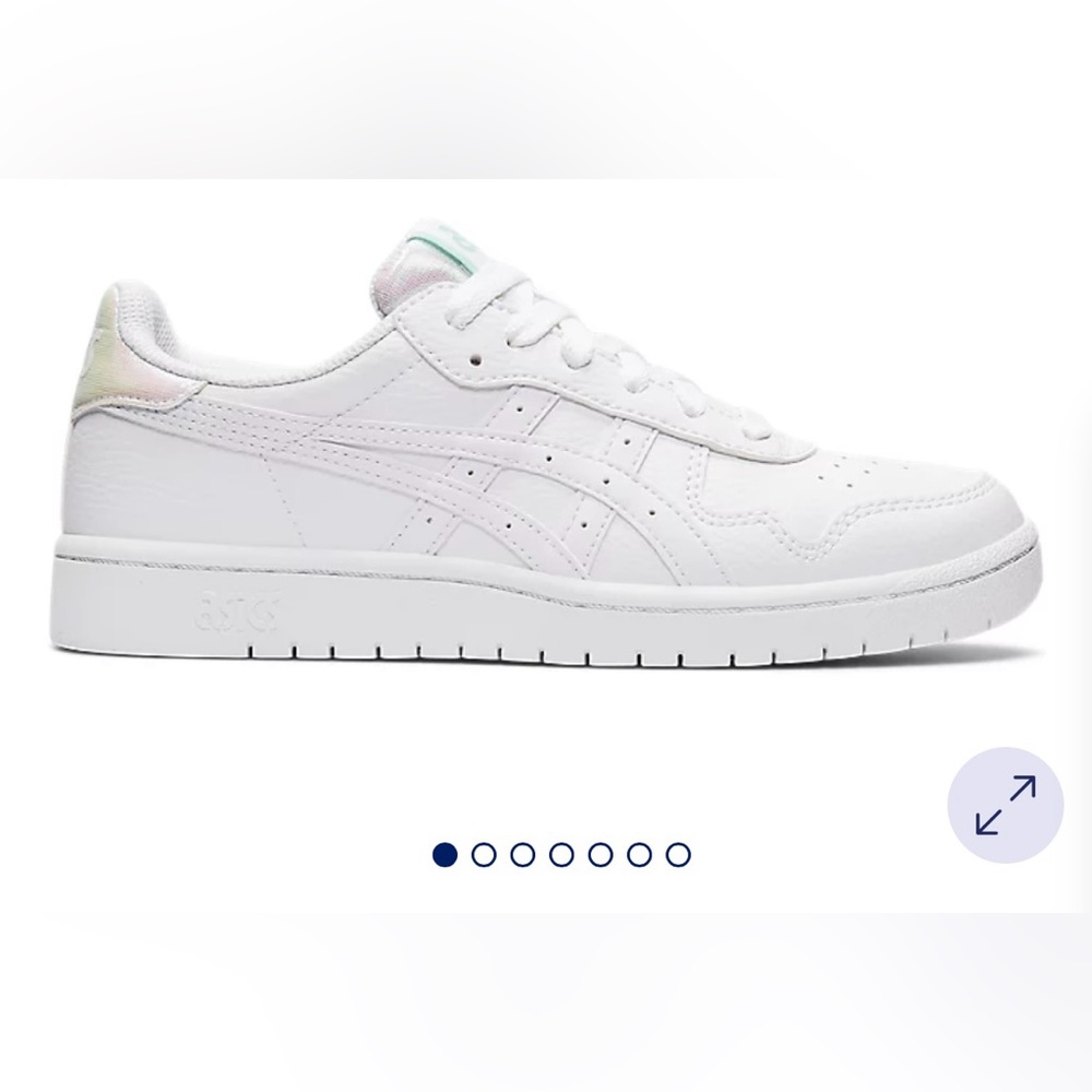 Japan S ASIC